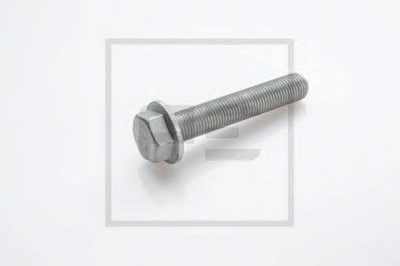 PE AUTOMOTIVE 01664000a -  Болт, диск тормозного механизма